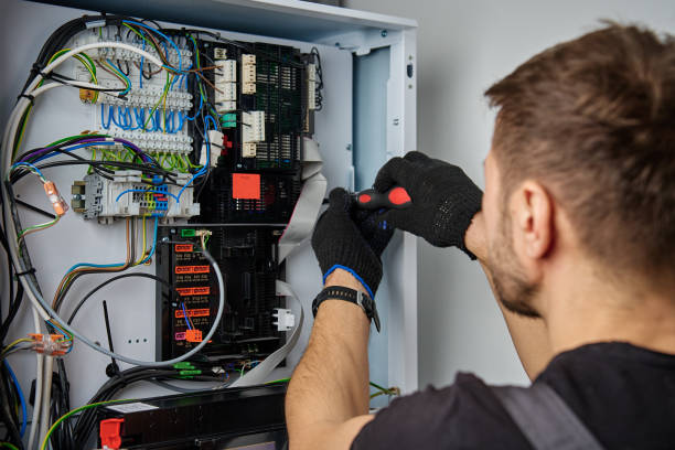 Licensed Electrical Panel Upgrade service in Cannon Falls, MN - No Joke electrician